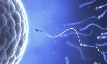 بمليون دولار .. بث مباشر مع التعليق لأول سباق عالمى للحيوانات المنوية  25 أبريل الجارى