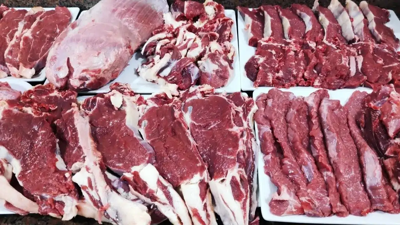 التموين: شراء اللحوم بنقاط الخبز ضمن مقررات شهر يونيو